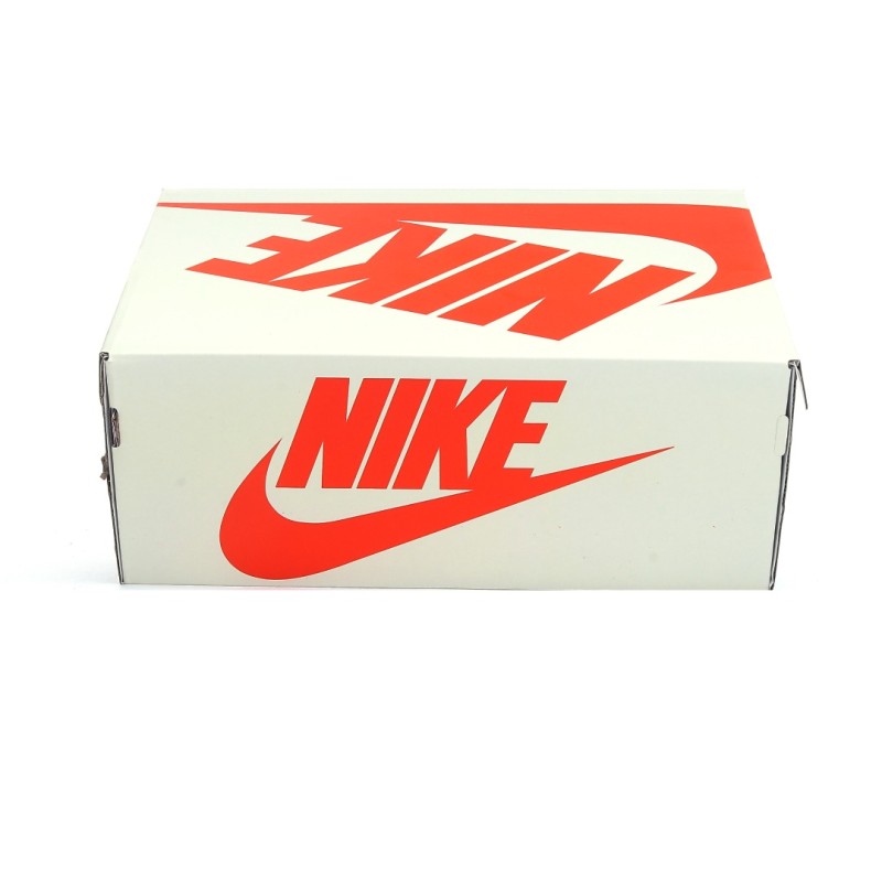 나이키 덩크 로우 유니버시티