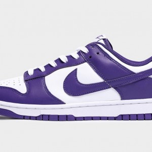 나이키 덩크 로우 유니버시티 DD1391-104