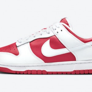 나이키 덩크 로우 유니버시티 DD1391-600