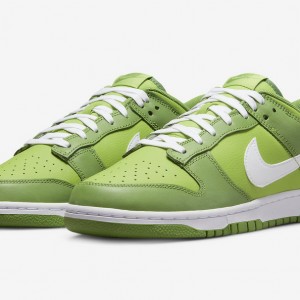 나이키 덩크 로우 유니버시티 DJ6188-300