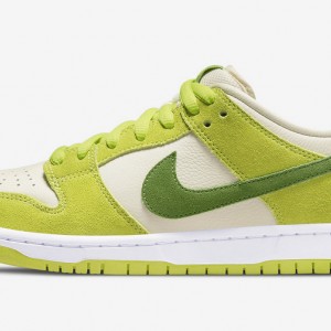 나이키 덩크 로우 유니버시티 DM0807-300