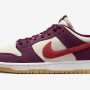 나이키 덩크 로우 유니버시티 DX4589-600