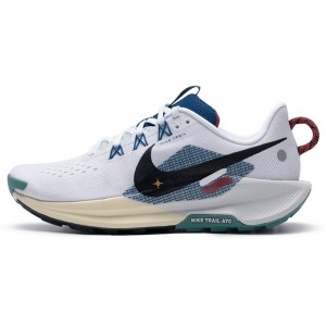나이키 남성 러닝화 페가수스 트레일 5 조깅화 DV3864-100
