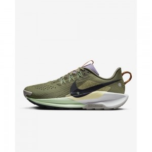 나이키 남성 러닝화 페가수스 트레일 5 조깅화 DV3864-200
