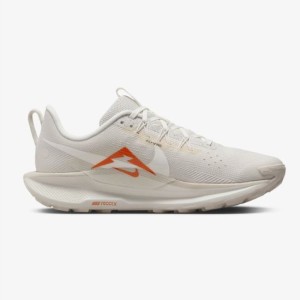 나이키 남성 러닝화 페가수스 트레일 5 조깅화 DV3865-003