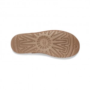 [UGG] 롱 부츠 1151230-CHE