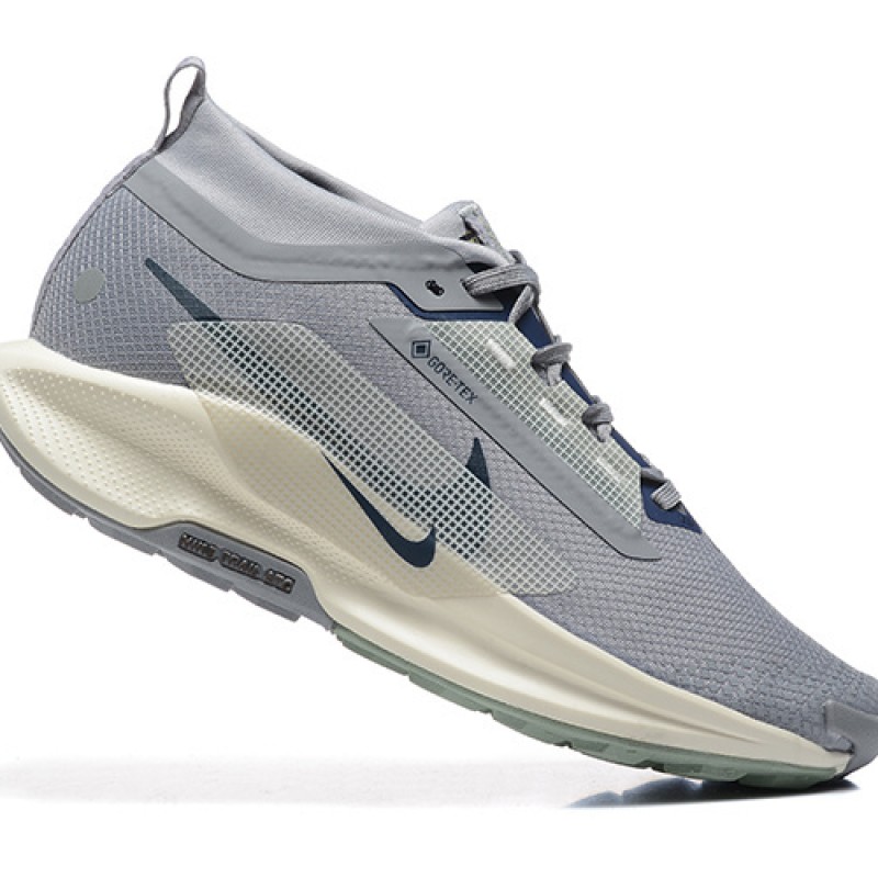 나이키 페가수스 트레일 5