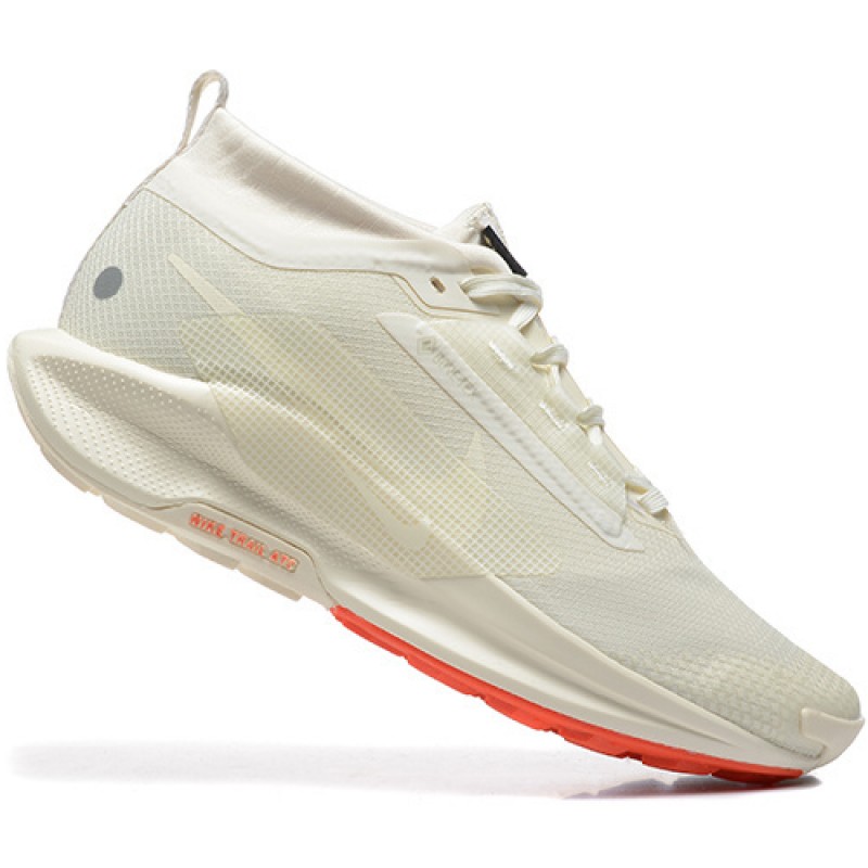 나이키 페가수스 트레일 5