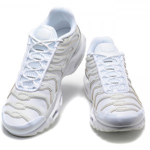 나이키 에어 맥스 TN