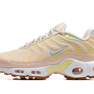 나이키 에어 맥스 TN