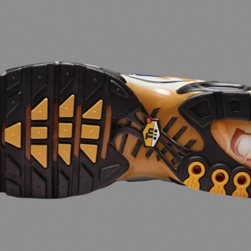 나이키 에어 맥스 TN