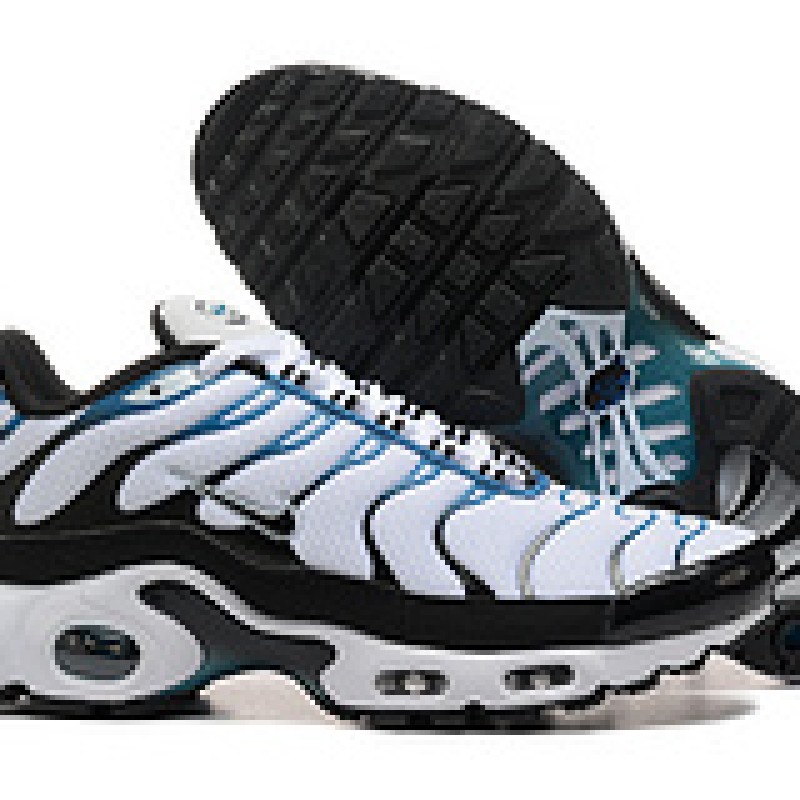 나이키 에어 맥스 TN