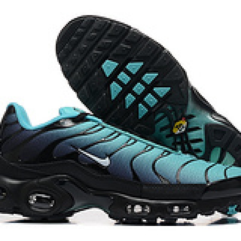 나이키 에어 맥스 TN