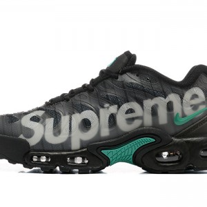 나이키 에어 맥스 플러스 드리프트