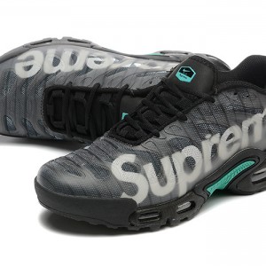 나이키 에어 맥스 플러스 드리프트