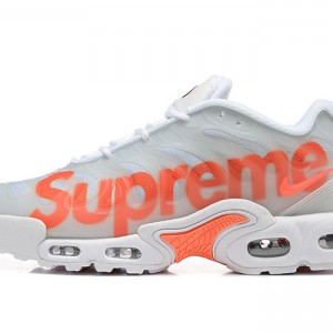 나이키 에어 맥스 플러스 드리프트